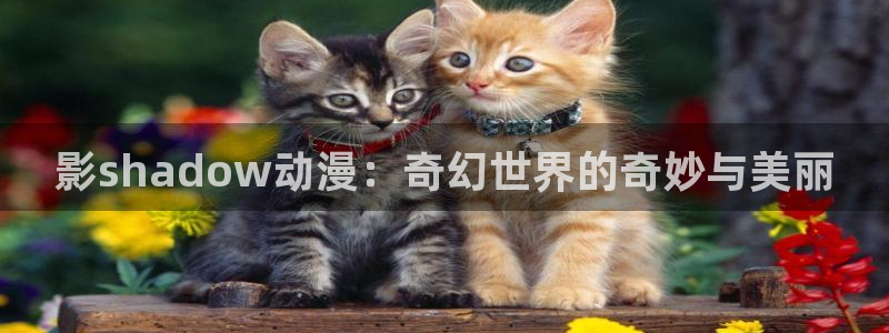 omofun动漫app：影shadow动漫：奇幻世界的奇妙与美丽